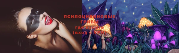 спиды Аркадак