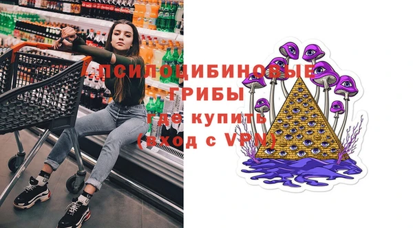спиды Аркадак