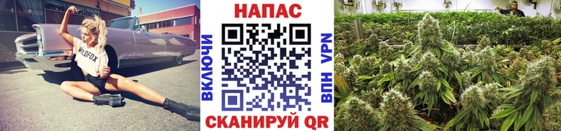 Бошки Шишки AK-47  Сясьстрой 